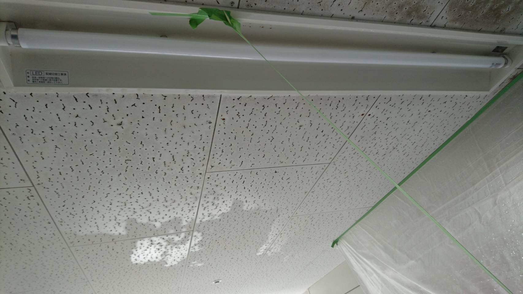 病院の天井の除カビ