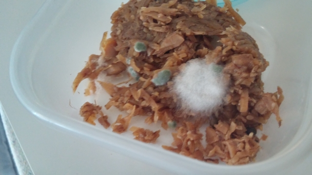 食品に生える白カビ、その真実とは?白カビが隠す驚きの効能とは