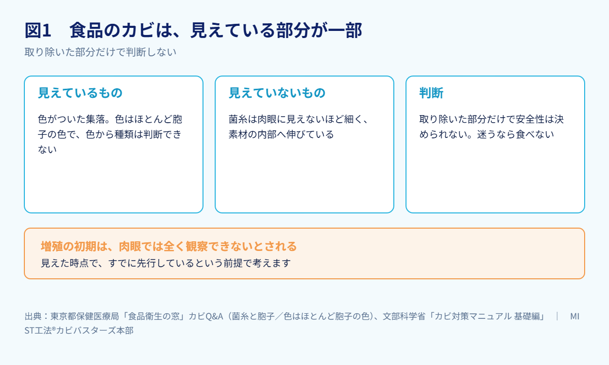 図1 食品のカビは、見えている部分が一部(出典:東京都保健医療局「食品衛