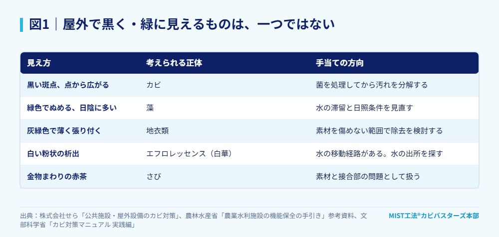 図1｜屋外で黒く・緑に見えるものは、一つではない。