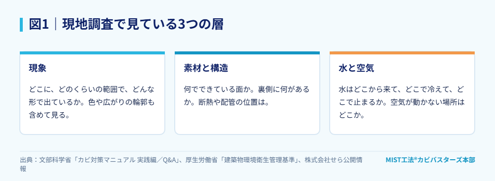 図1|現地調査で見ている3つの層。