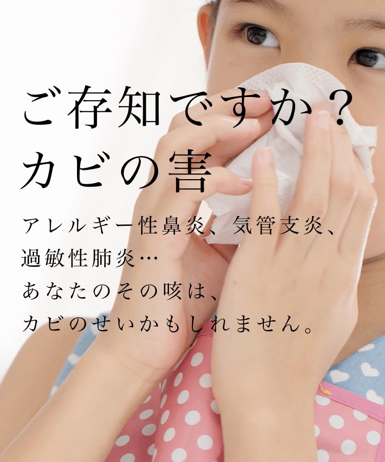 メインイメージ