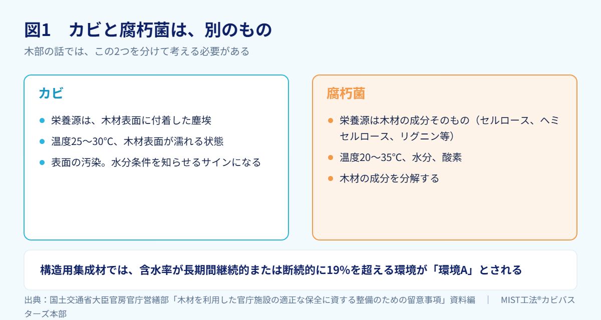 図1 カビと腐朽菌は、別のもの(出典:国土交通省大臣官房官庁営繕部「木材