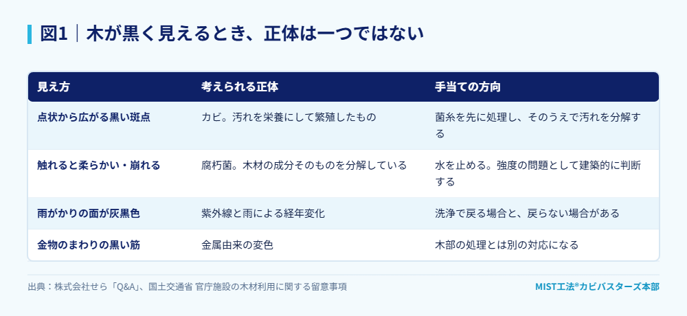 図1｜木が黒く見えるとき、正体は一つではない。
