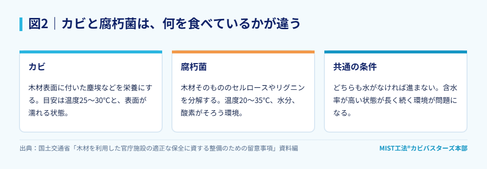図2｜カビと腐朽菌は、何を食べているかが違う。